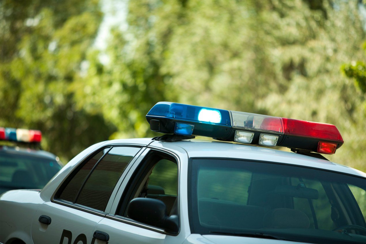 A photo of the lights on top of a police squad car on a tree-lined street.