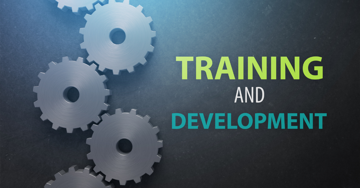 Training and Development Header